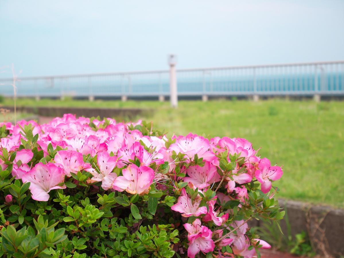 מלון אטאמי Wisterian Life Club Atami מראה חיצוני תמונה